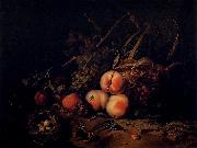 Rachel Ruysch Still-Life with Fruit and Insects Spain oil painting artist